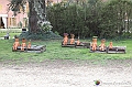 VBS_1900 - Inaugurazione Messer Tulipano 2025